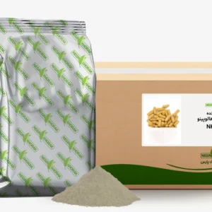 طعم دهنده اسنک هالوپینو NK-208