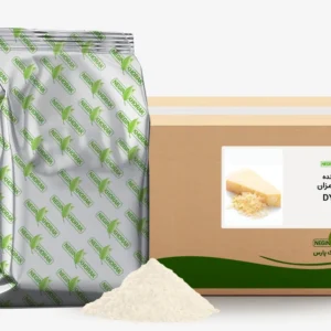 طعم دهنده پنیر پارمزان DY-241